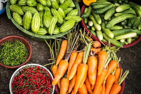 Curso Técnico em Agroecologia EAD