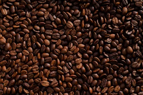Curso Técnico em Cafeicultura EAD