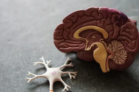 Especialização Técnica em Oncologia EAD