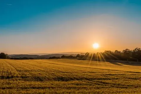 Agropecuária por Competência
